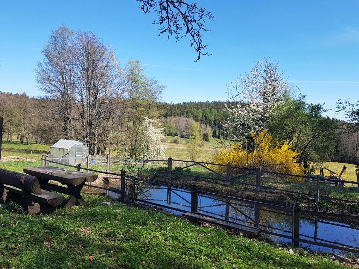Ferienappartements Mit Herz Bischofsmais Bagian luar foto